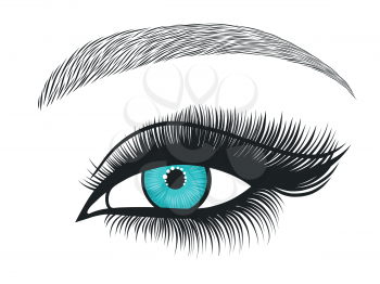 Hand drawn bright eyes with thick, long eyelashes and perfect eyebrows. Stylized decorative makeup. Vector illustration