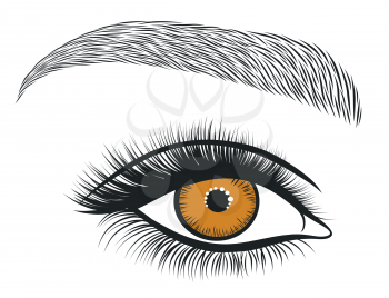 Hand drawn bright eyes with thick, long eyelashes and perfect brows. Stylized decorative makeup. Vector illustration