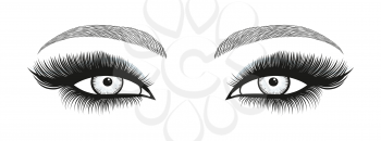 Stylized decorative makeup set. Hand drawn bright eyes with thick, long eyelashes and perfect brows. Vector illustration
