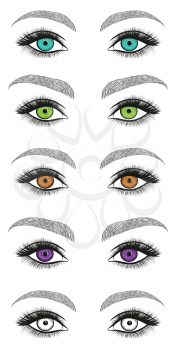 Stylized decorative makeup set. Hand drawn eyes with thick, long eyelashes and perfect brows. Black and white isolated vector illustration