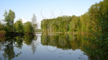 the beautiful summer landscape with river and trees in the everning