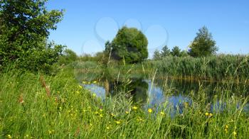 the beautiful summer landscape with river and trees