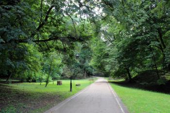 image of path in great park with green grass