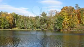 the beautiful autumn landscape with river and trees in the everning