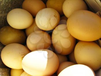 the image of a lot of eggs of the hen