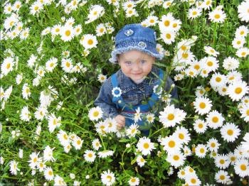 the image of little beautiful child in the flower-bed of camomiles