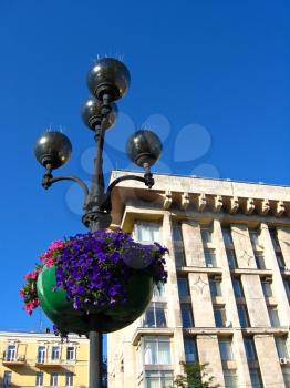 the image of plant on the lantern in the city