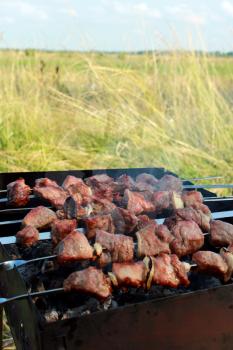 image of appetizing barbecue on the nature
