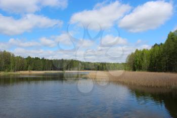 beautiful summer landscape with picturesque lake in the forest