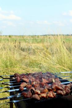 appetizing barbecue with great pieces of meat on the fire