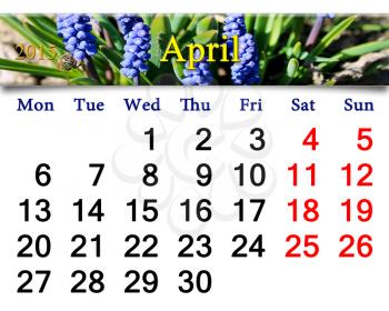 calendar for May of 2015 year with ribbon of blooming muscari