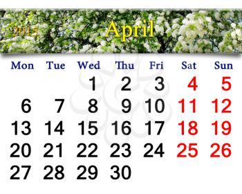 calendar for May of 2015 year on the background of spring bird cherry tree