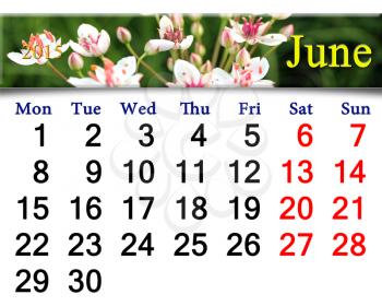 calendar for June of 2015 year with ribbon of butomus umbellatus