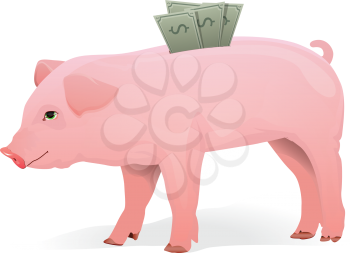 Realistic Pig with money in his back