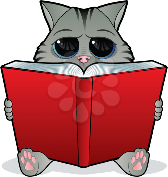 Kitten reading a large open book