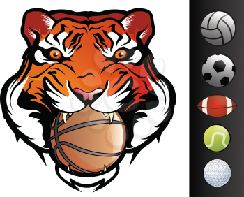 Tiger Sports Mascot with Ball in Mouth