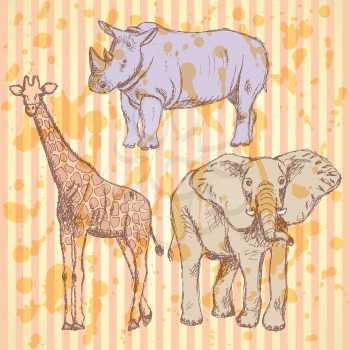 Sketch giraffe, elephant, rhino, vector vintage background