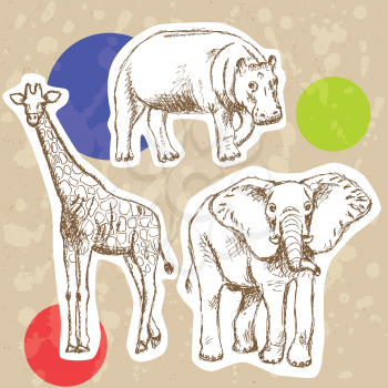 Sketch elephant, giraffe and hippo, vector vintage background

