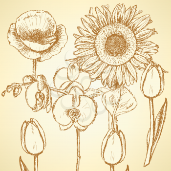 Sketch flowers, vector vintage backgrounds eps 10