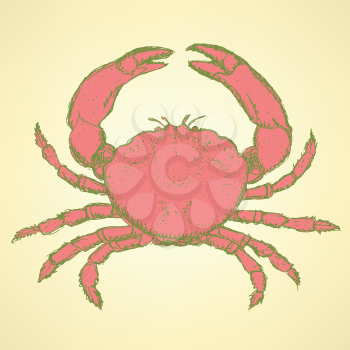 Sketch cute crab in vintage style, background