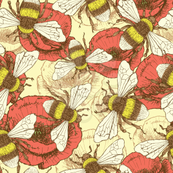 Sketch bee and poppy in vintage style, vector seamless pattern