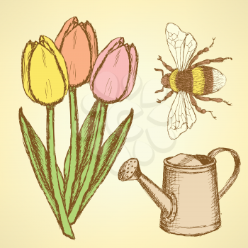 Sketch tulip, bee and watering can, vector vintage background


