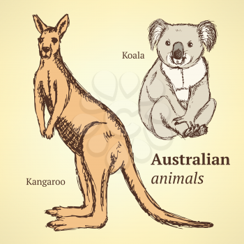 Sketch Australian animals in vintage style, vector