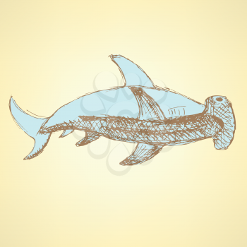Sketch hammerhead shark in vintage style, vector