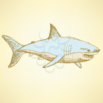 Sketch scary shark in vintage style, vector
