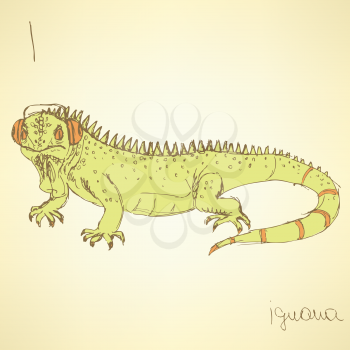Sketch fancy iguana in vintage style, vector