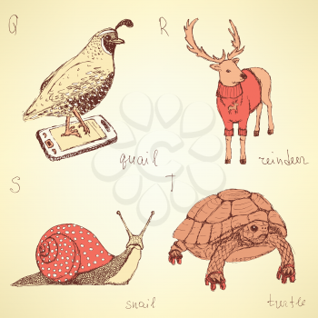 Sketch fancy animals alphabet in vintage style, vector q, r, s, t
