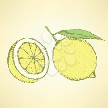Sketch juicy lemon in vintage style, vector