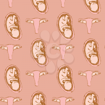 Sketch reproductive system  in vintage style, vector seamless pattern