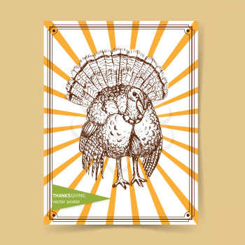 Sketch Thanksgiving turkey in vintage style, vector poster