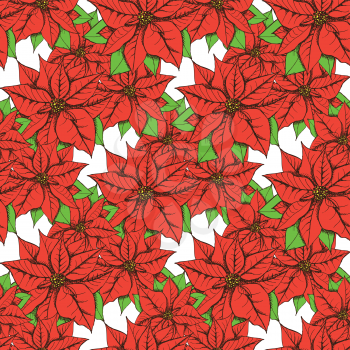 Sketch poinsettia in vintage style, vector seamless pattern