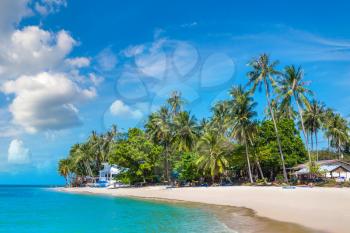 Tropical beach with palm trees on Koh Samui island, Thailand in a summer day