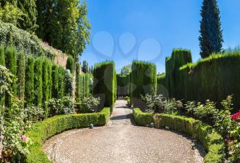Gardens in Alhambra palace in Granada in a beautiful summer day, Spain