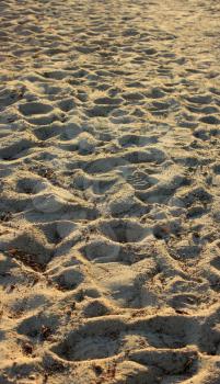 sand dunes on beach