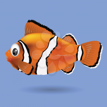 colorful illustration with clownfish for your design