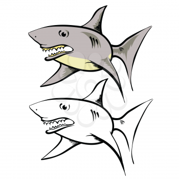 colorful illustration  with cartoon shark on white background