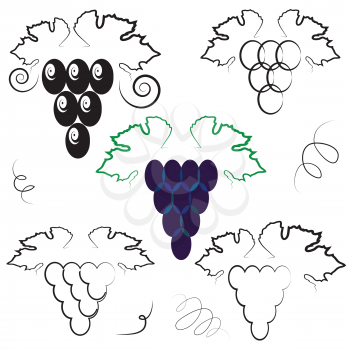 colorful illustration  with abstract grapes on white background