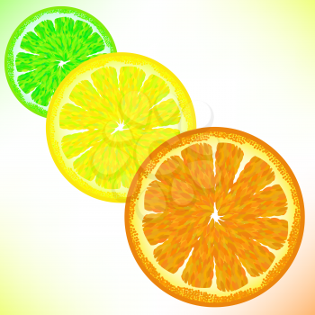 Lime Lemon Orange Isolated on White Backgroud.