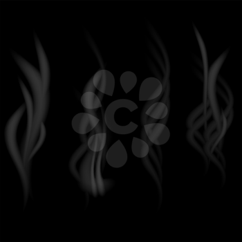 Grey Smoke on Black Background for Your Design