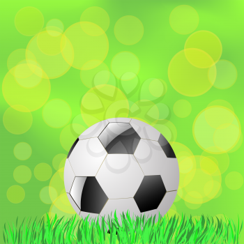Soccer Ball Lying on the Green Grass. Summer Green Blurred Background.