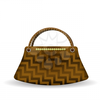 Brown Elegant Handbag Isolated on White Background