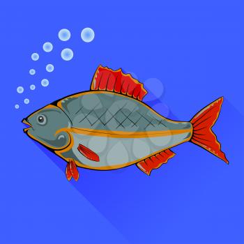 Fish With Red Fins Isolated on Blue Background
