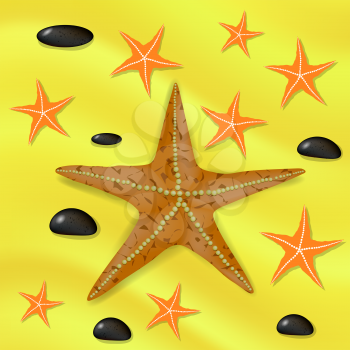 Plenty of Cushion Starfish on a Sandy Ocean Floor. Caribbean Starfish on a Yellow Background