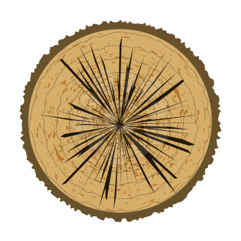 Tree Rings Background and Saw Cut Tree Trunk. Wood Icon.