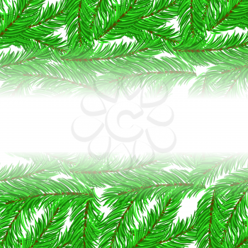 Fir Green Branches Pattern on White Background