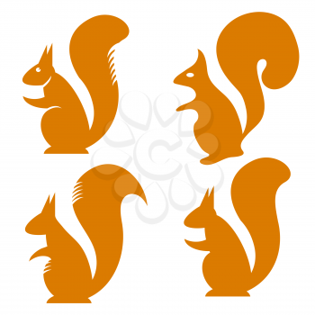 Set of Squirrell Icons Isolated on White Background.  Omnivorous Rodent with Fluffy Tail